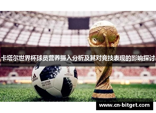 卡塔尔世界杯球员营养摄入分析及其对竞技表现的影响探讨