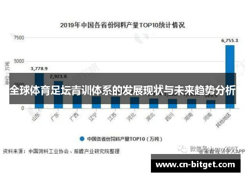 全球体育足坛青训体系的发展现状与未来趋势分析